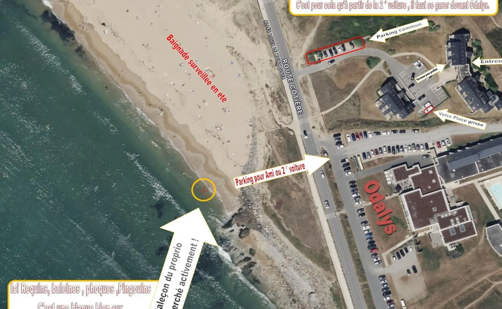 Update Location Lanester Frankrike